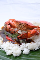 cooked crab on a white plate with rice