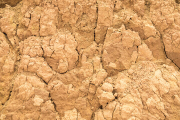 texture of the Dry Mud
