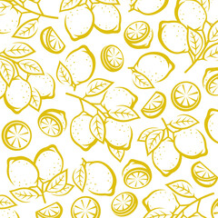 Lemon pattern background set. Collection icon lemons. Vector