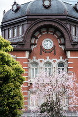 東京駅・丸の内駅舎の春・桜