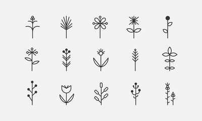 Flowers grass line icons set. Spring plants, blossoms and wildflowers. Botanical signs elements. Vector illustartion