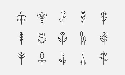 Abstract grass line icons set. Spring plants, blossoms and wildflowers. Botanical signs elements. Vector illustartion