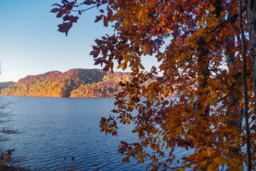 Fall Foliage at Lake with rolling hills in Kentucky