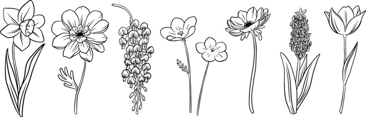 線画の春のお花セット　ベクター素材