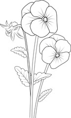 Flowers coloring pages, and book, Vector sketch of pansy flowers, Hand drawn pansy flowers, botanical leaf bud illustration engraved ink art style. pansy flower sketch. vintage pansy drawing.
