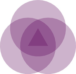 Geometric circle and triangle vector