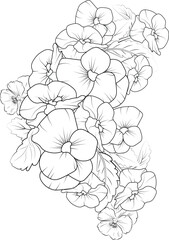 Fototapeta premium traditional pansy tattoo, pansy line drawing, vintage botanical pansy botanical illustration, flower cluster drawing, Easy flower coloring pages, Cute flower coloring pages, bouquet of pansy flowers
