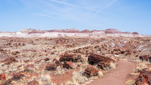 The Petrified Forest National Park in Arizona. 