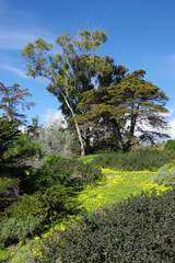 Southern California coastal landscape in spring