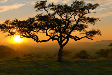 Fototapeta na wymiar Silhouette of Acacia Trees at a dramatic sunset in Africa. generative AI