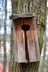 Abandoned and destroyed birdhouse on a tree in park.