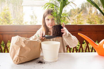 Girl planting seeds for seedlings in small recyclable peat pots, seedling container. Children learn...
