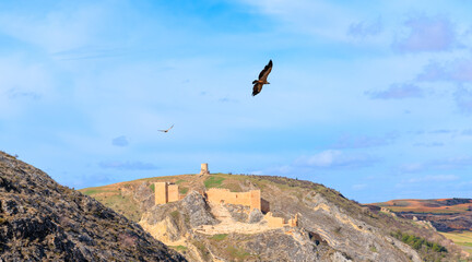 Fototapeta premium tourism at Burgo de Osma and castle- Soria province in Spain, Castile and Leon