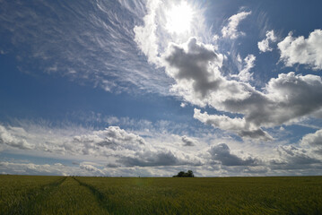 Wolkenverhangener blauer Himmel in weitl&auml;ufiger Landschaft