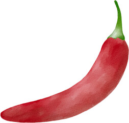 chilli watercolor png
