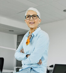 business businesswoman senior elderly office meeting woman portrait corporate manager smiling talking conversation happiness mature glasses communication discussion executive
