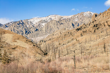 Winter canyon landscape in Shoshone National Forest in northwest Wyoming.