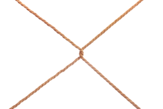 Two linked tense diagonal ropes cross section. Isolated png with transparency