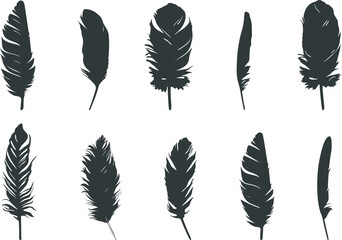 Feather silhouette, Feather SVG, Feather of birds silhouette, Feather vector icon