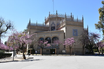 Obraz premium seville, spain, city, monuments, europe, historic, old, panorama, andalusia, 