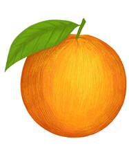 Orange hand drawn illustration png cut out