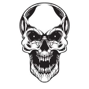 black and white skull tattoo artwork illustraiton