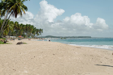 beach with palm trees