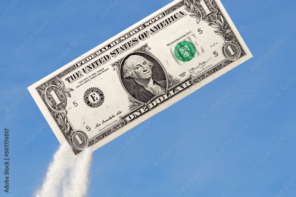 Wall mural a dollar flying into the sky. the concept of currency growth