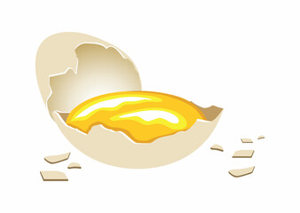 Surowe rozbite jajko, żółtko w skorupce. Kolorowy rysunek wektorowy, ilustracja jajka. Potłuczone kurze jajo, kawałki skorupy. Zdrowe i pyszne jajko - obrazy, fototapety, plakaty