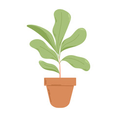 Ficus with lush foliage in a pot. Vector flat illustration of a home potted plant.