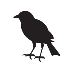 simple bird silhouette nice look pj