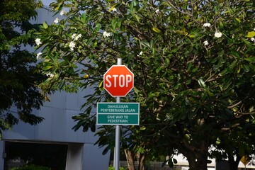 Intersection Stop Sign in Lane. Sign board, STOP sign on forest background, Stop sign