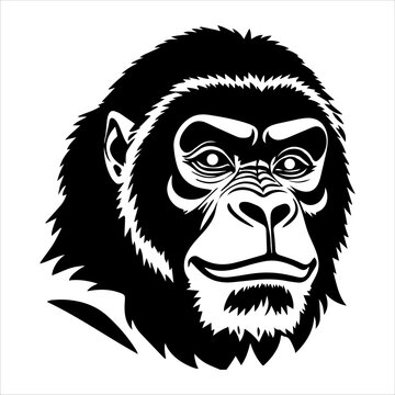Gorilla head. vector graphic illustration black and white
