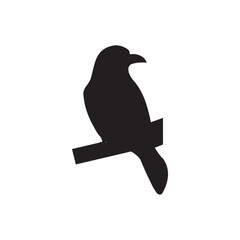 black silhouette look nice branch pj