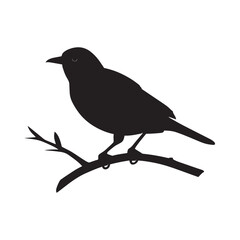 Obraz premium bird branch silhouette nice look pj