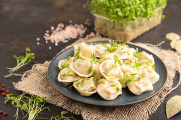 Dumplings with pepper, herbs, microgreen on black concrete. Side view, selective focus.