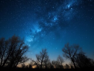 Fototapeta na wymiar Milky Way and silhouette of trees
