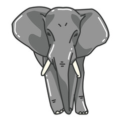 elephant vector image. wildlife pictures