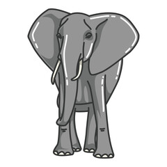 elephant vector image. wildlife pictures