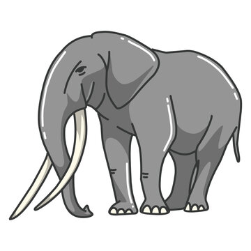 elephant vector image. wildlife pictures