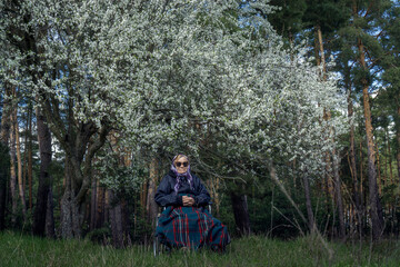 A lonely elderly woman in a stroller, wrapped in a warm blanket, under a spring flowering tree.