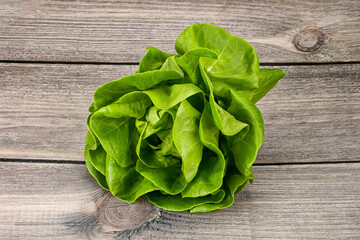 Butter lettuce salad green  leaves