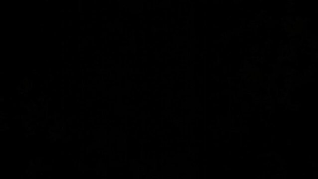 120 Bpm Lightning inside a Weed tunnel trippy vj loop party animation high culture 420 day Marijuana celebration of life Psychedelic 3d nature animation 4k texture