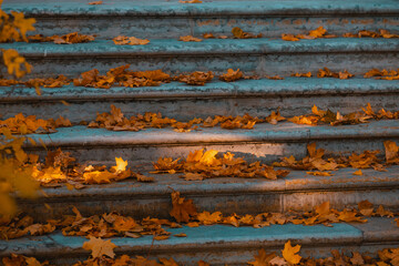 Dry leaves on the steps. Autumn background. Staircase in autumn leaves.