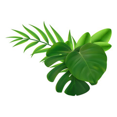 Green leaves element with transparent background. Realistic isolated image of leaf bush plant. Tropical leaves foliage plants bush floral arrangement nature backdrop.