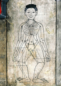 Thai massage acupressure points on wall mural in Wat Pho, Bangkok