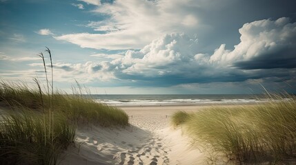 Fototapeta na wymiar Summer vacation landscape beach image