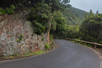 Fototapeta na wymiar Road in mountains throught Parque Rural de Anaga, tenerife, canary Islands, Spain on overcast March day