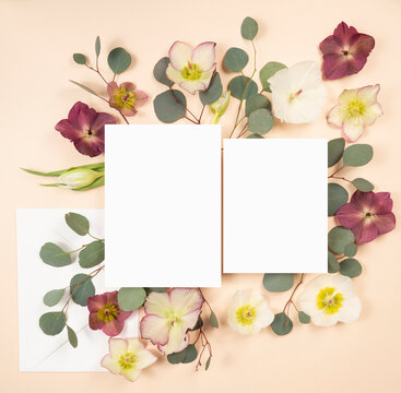 Flat lay with blank wedding stationery invitation and smaller card with fresh spring hellebore flowers on light cream background