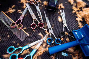 Tools of the master groomer. Workplace after dog haircut.